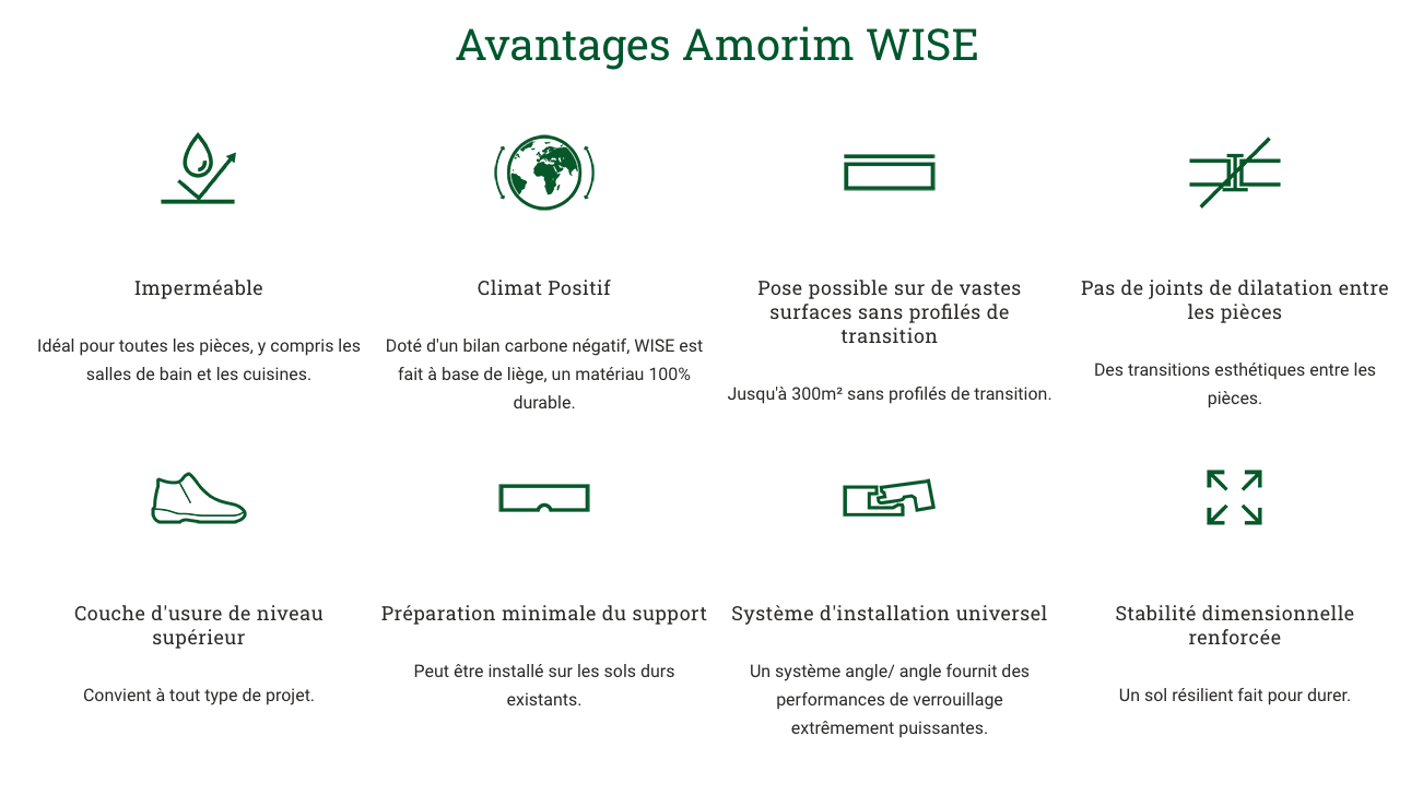 avantages wise